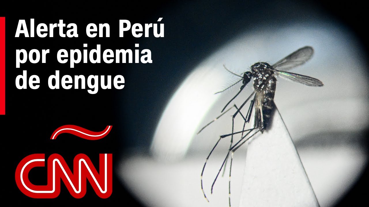 Alerta sanitaria en Perú por la epidemia de dengue