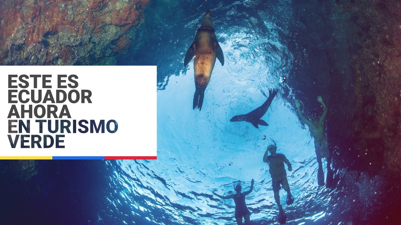 Este es Ecuador ahora en turismo verde.