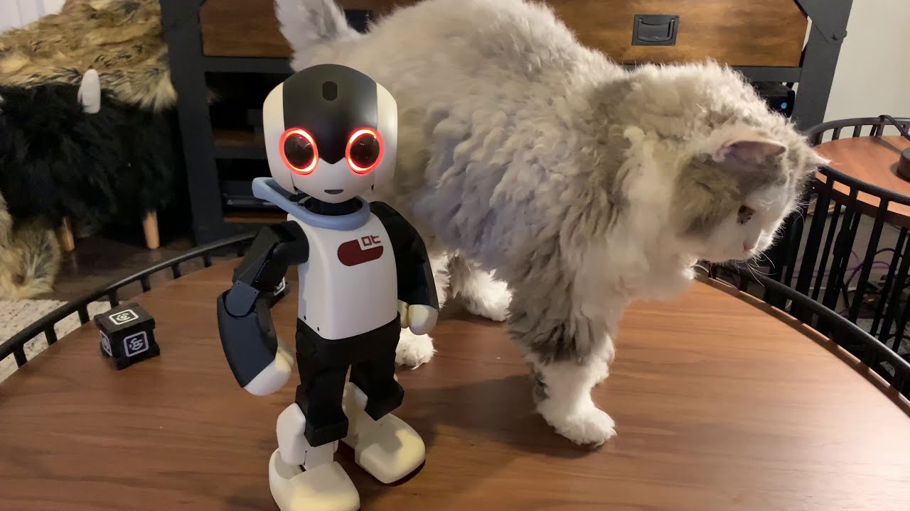 Robi Robot - I Do What I Want