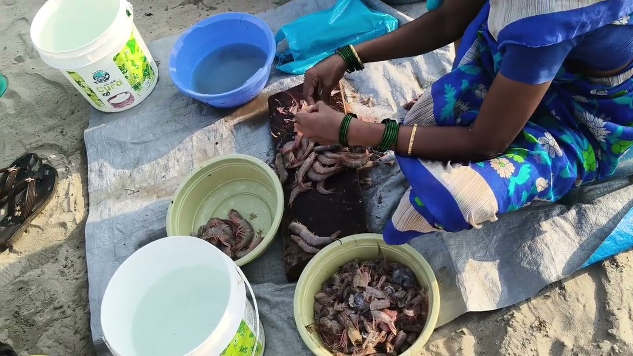 मालवण फिश मार्केट 🐟🦈🐬🐋