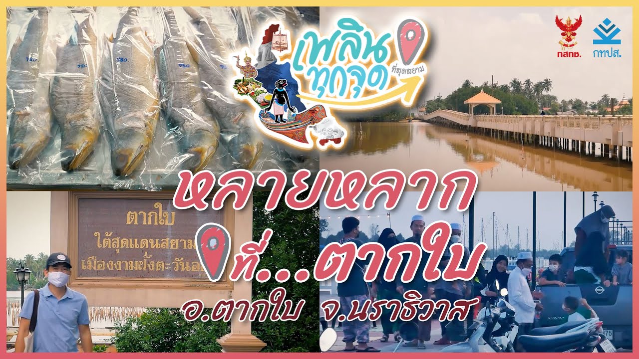 เพลินทุกจุด ที่สุดสยาม | ตอนที่16 หลายหลากที่ตากใบ | อำเภอตากใบ จังหวัดนราธิวาส