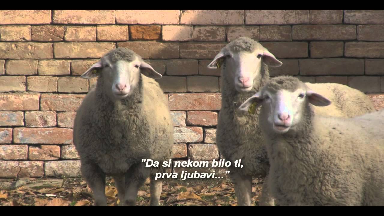 Moji Strošinci - pogreške sa snimanja spota