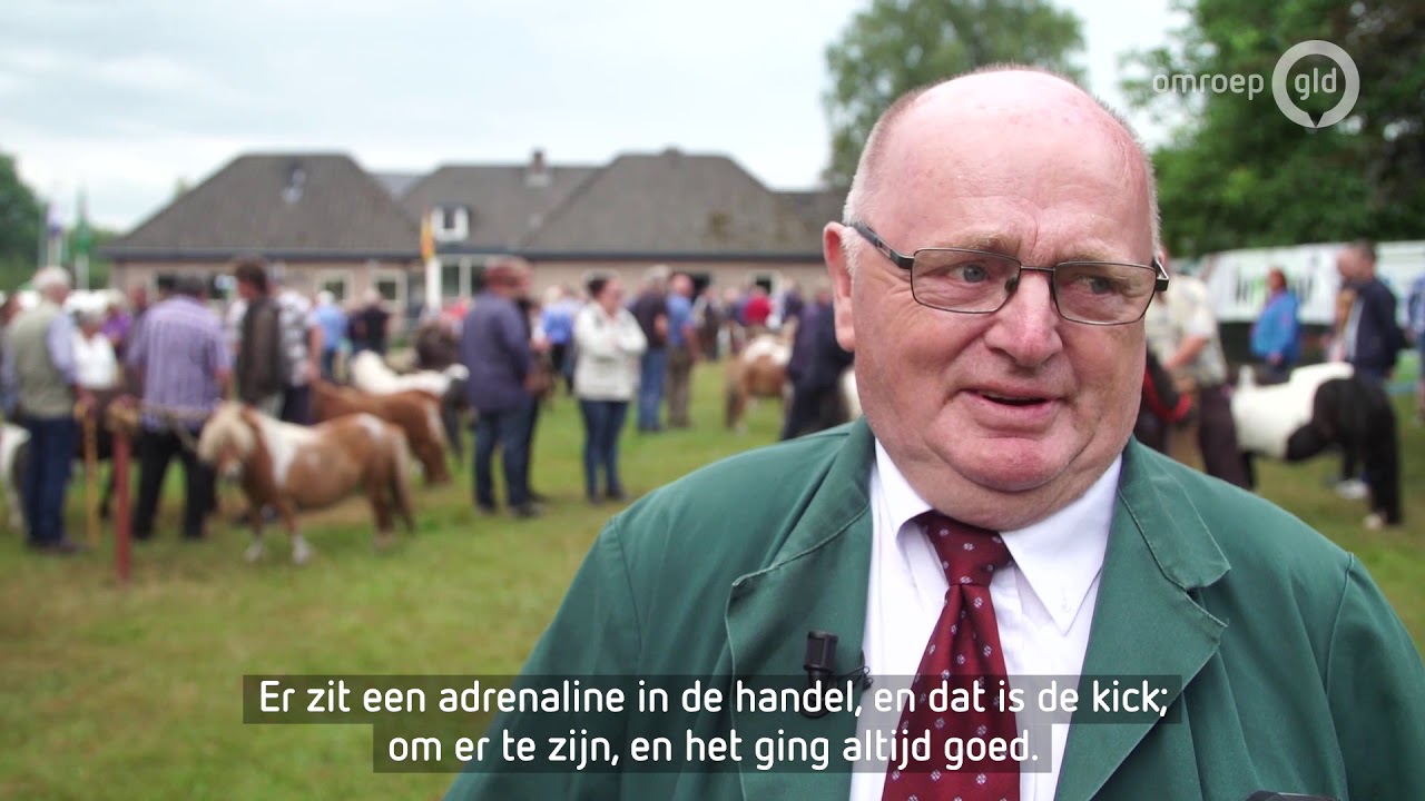 Loenense Moandag: pony's en honden stelen de show