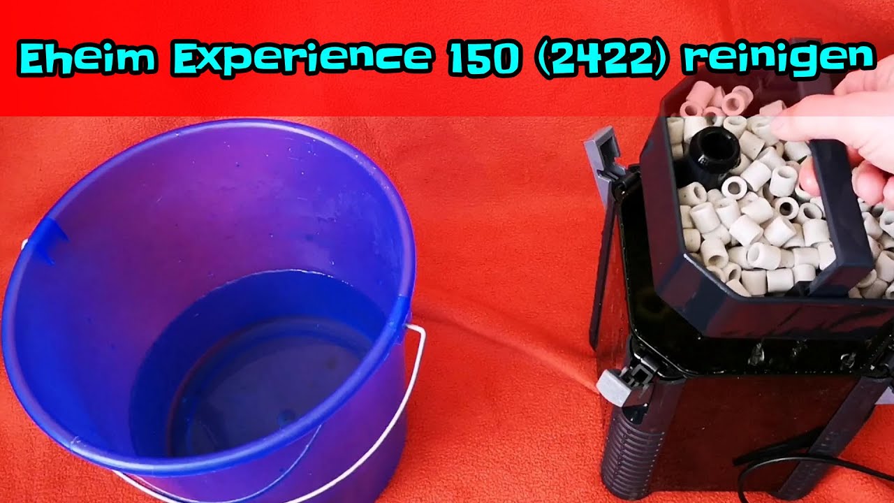 Ep. 9 - Eheim Experience 150 (2422) reinigen