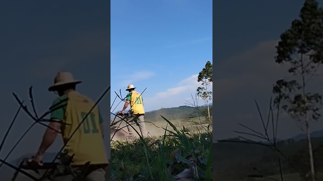 preparo da terra com tratorito