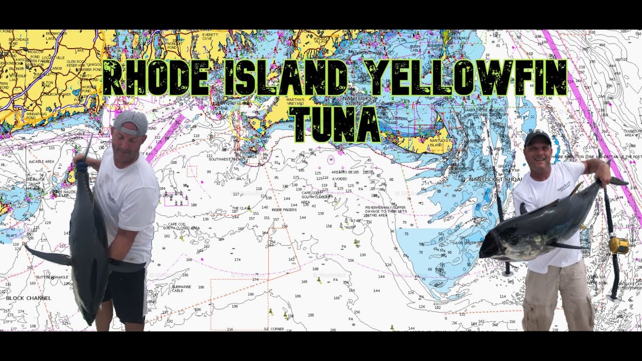 New England Yellowfin Tuna fishing | Rhode Island 'inside' tuna trolling
