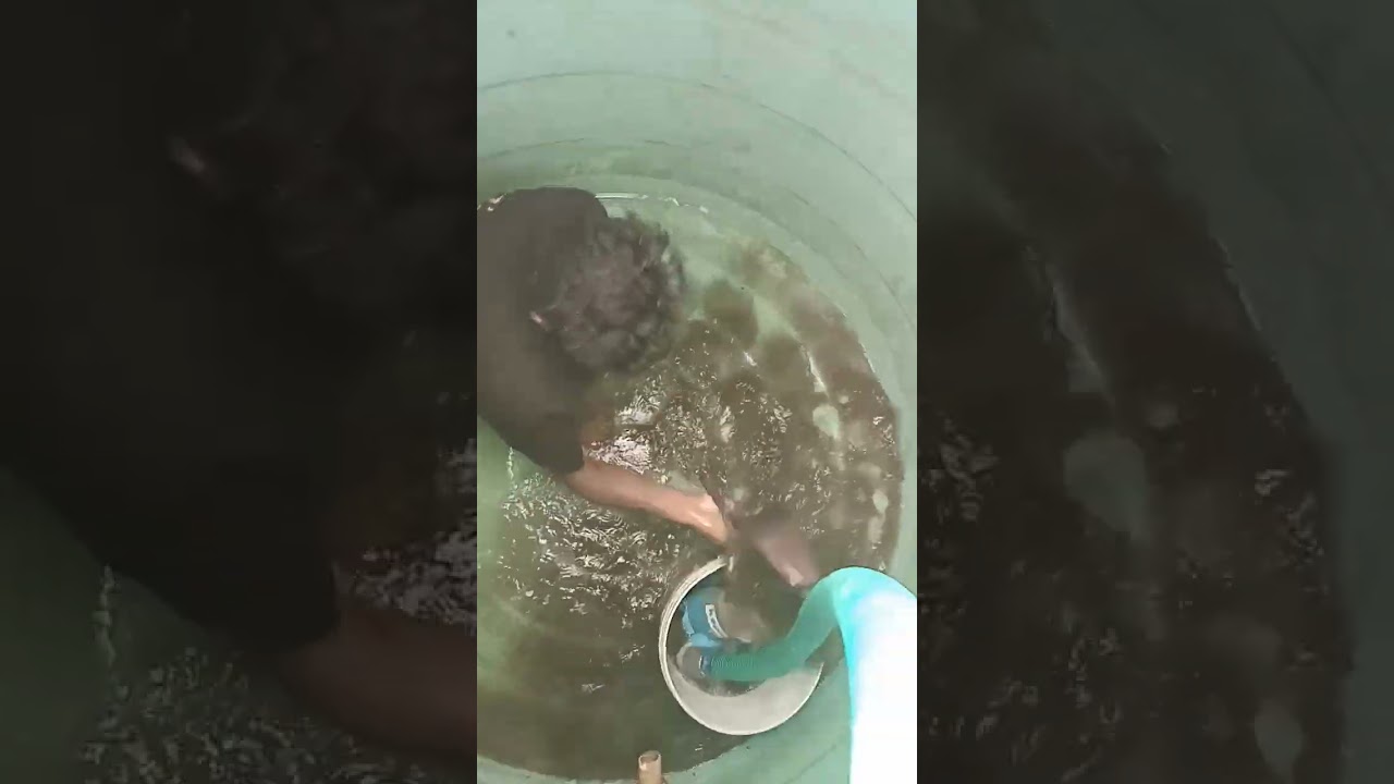 water tank cleaning #dewateringsolution #watertank #tankcleaning #trending
