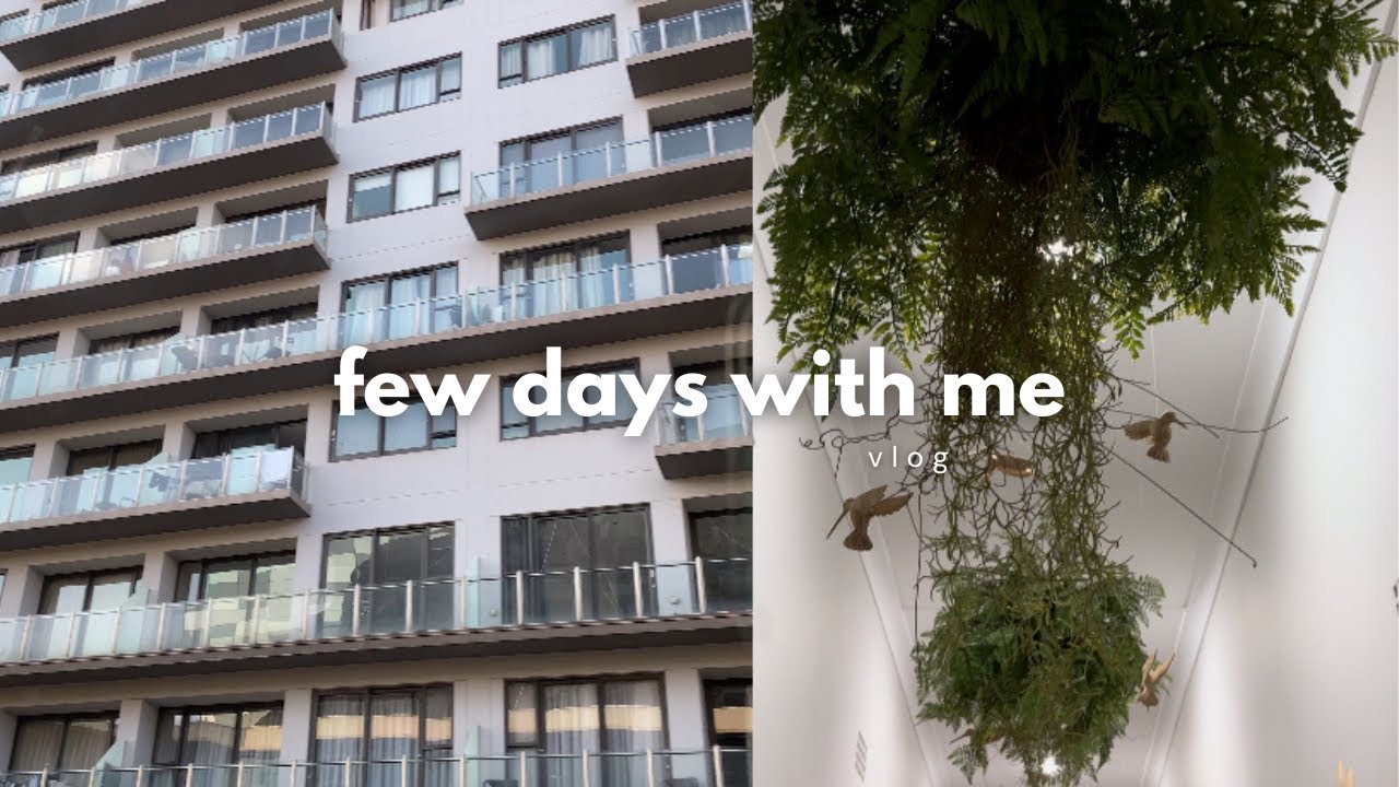 #vlog