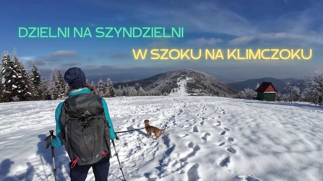 Beskid Śląski - Klimczok przez Szyndzielnię z Bielska - Białej | Zimowe wyjście z psem