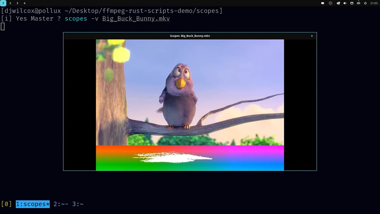 FFmpeg Rust Scripts for Linux, Windows, Mac, NixOS and Freebsd