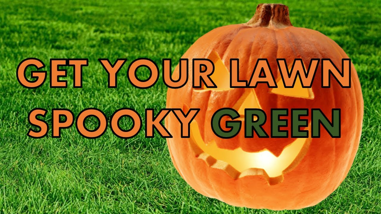 Fertilizing The Lawn For Halloween | Guaranteed No Stripes