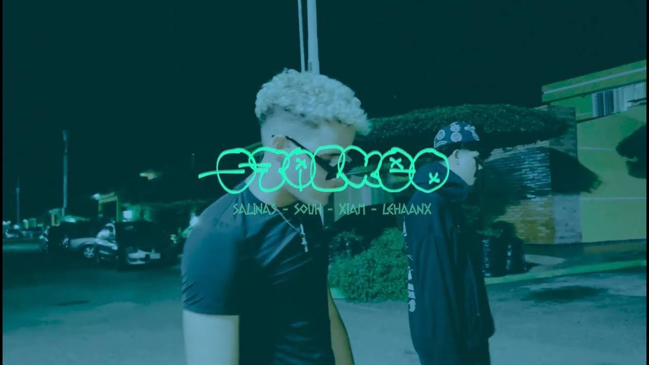 STALKEO - Salinas, Xiam, Souh, Lehaanx (Official Visualizer)
