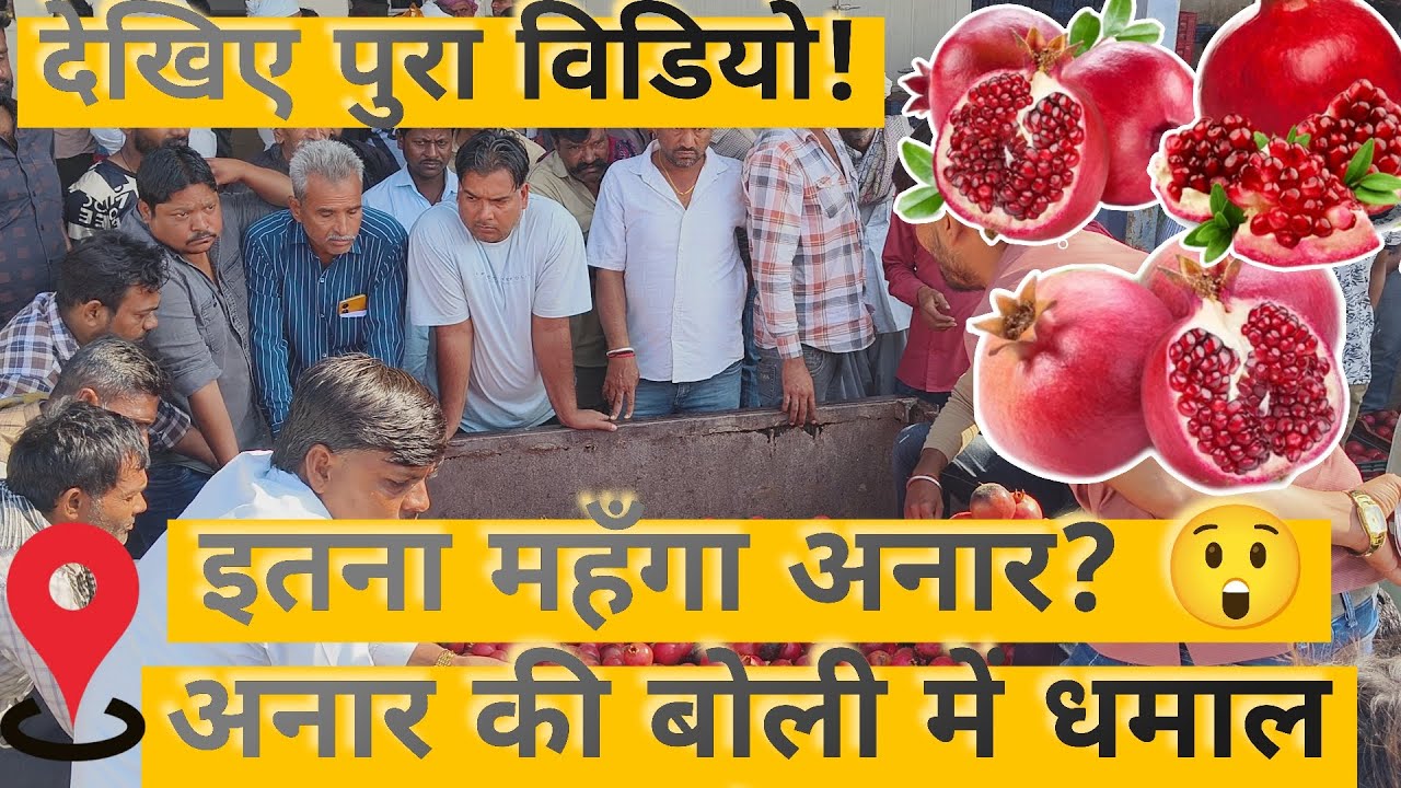 किसान से व्यापारी तक भाव कैसे तय होता है? अनार मंडी @jdChoudhary_74  #wholesalemarket #pomegranate 
