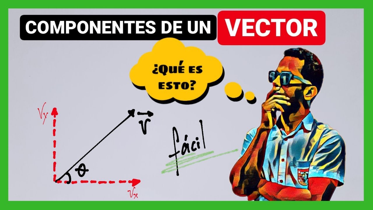 &iquest;Qu&eacute; son las componentes de un vector?