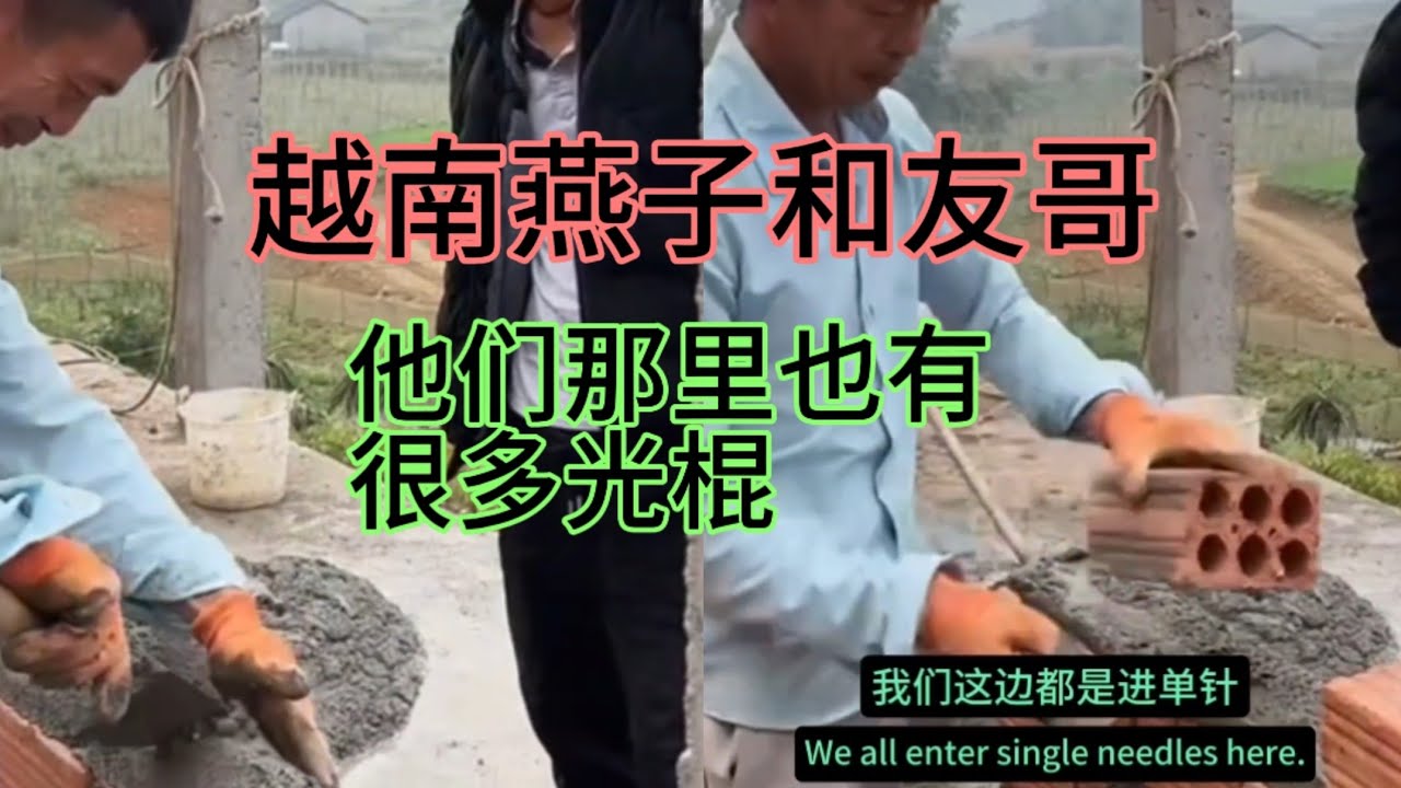 越南燕子和友哥