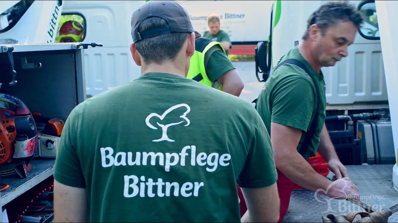 Baumpflege in Berlin - Totholz entfernen und entsorgen - Baumpflege Bittner GmbH