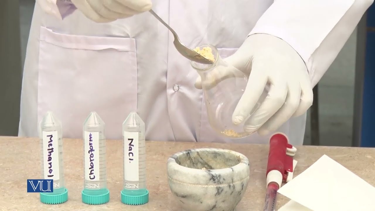 Extraction of Lipids from plant source | Biochemistry II | BIO506P_Topic007
