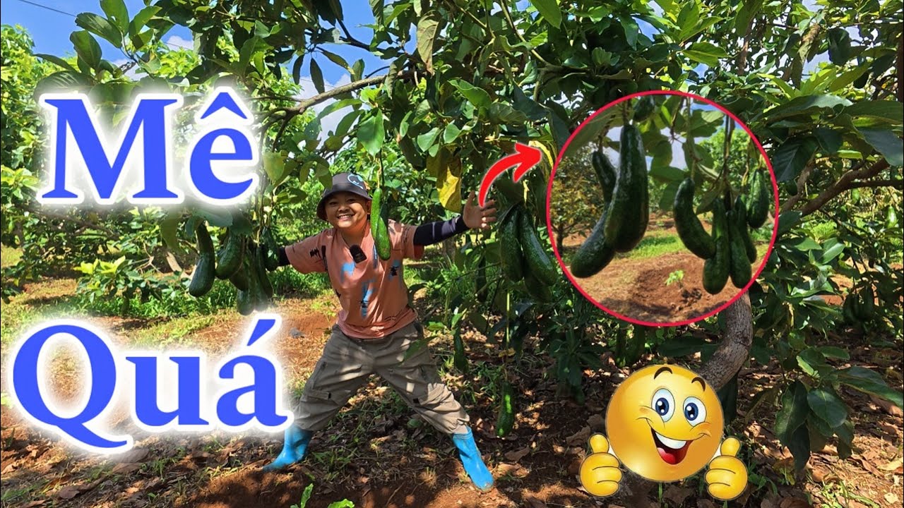 Sáng Sớm Bị Một Cú Lừa Từ Vợ Bé Bỏng || Hải Tí Hon