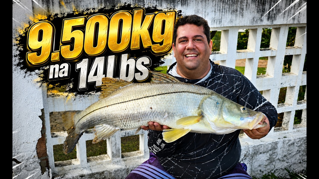 Meu recorde Robalo 9,5kg