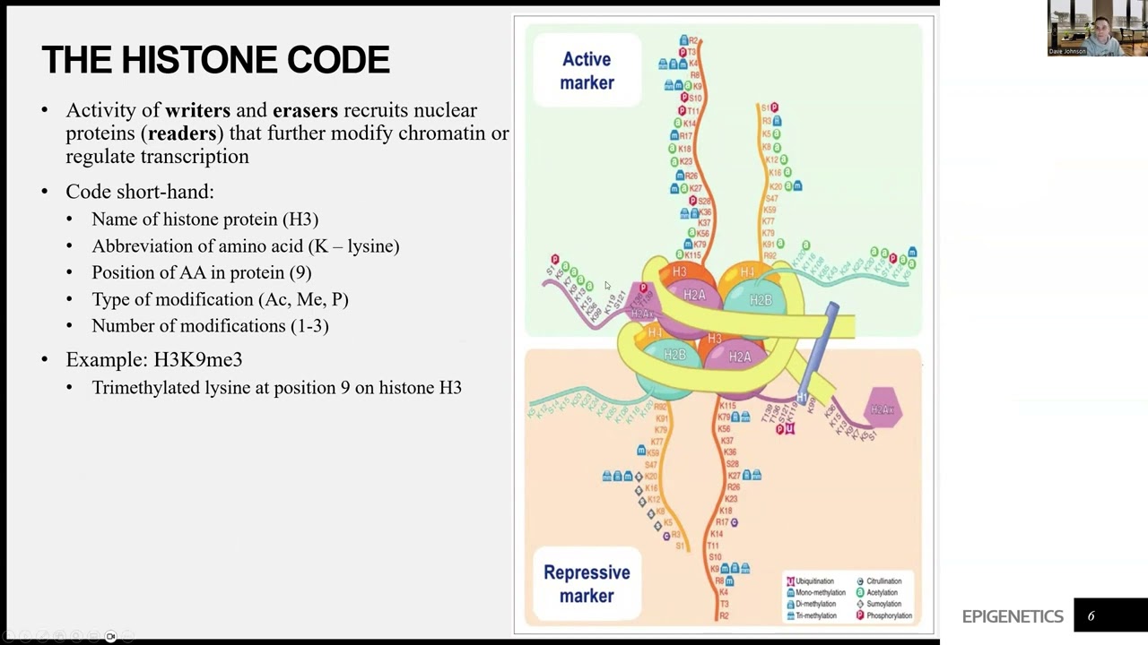 Epigenetics