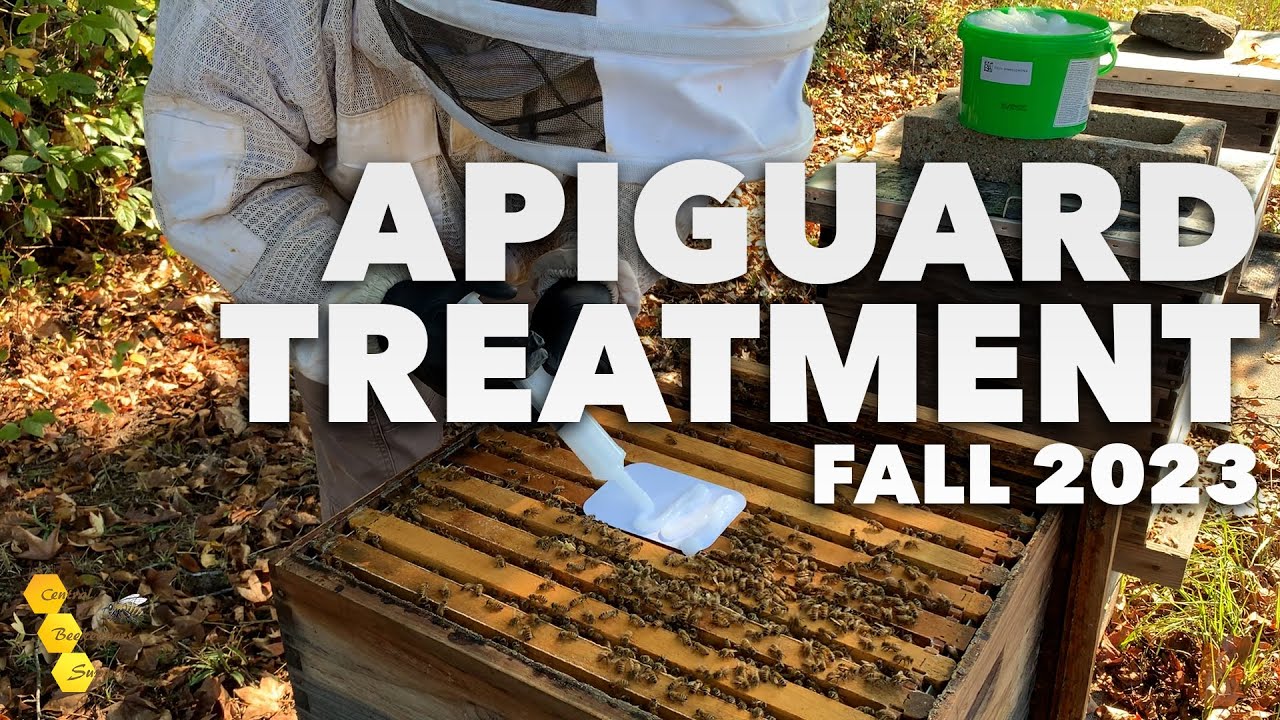 Applying an Apiguard Treatment - Fall 2023