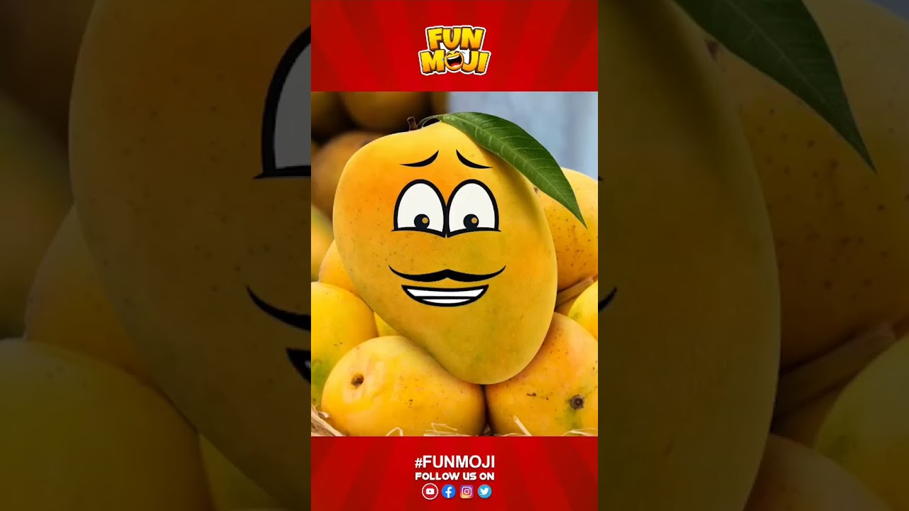 mango season 