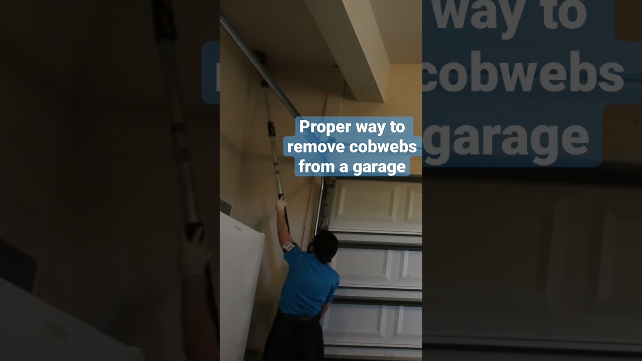 The Proper Way to Remove Cobwebs from a Garage #ProCleaningTool #shorts