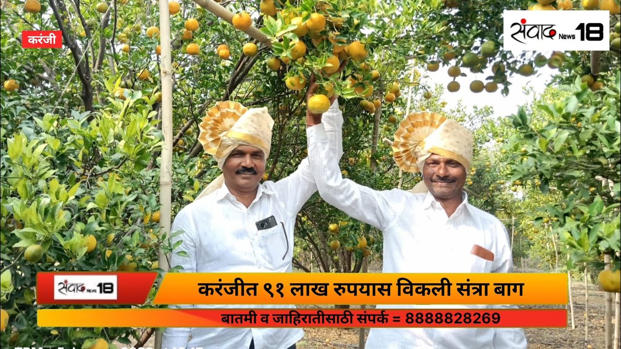 करंजीत ९१ लाख रुपयास विकली संत्रा बाग