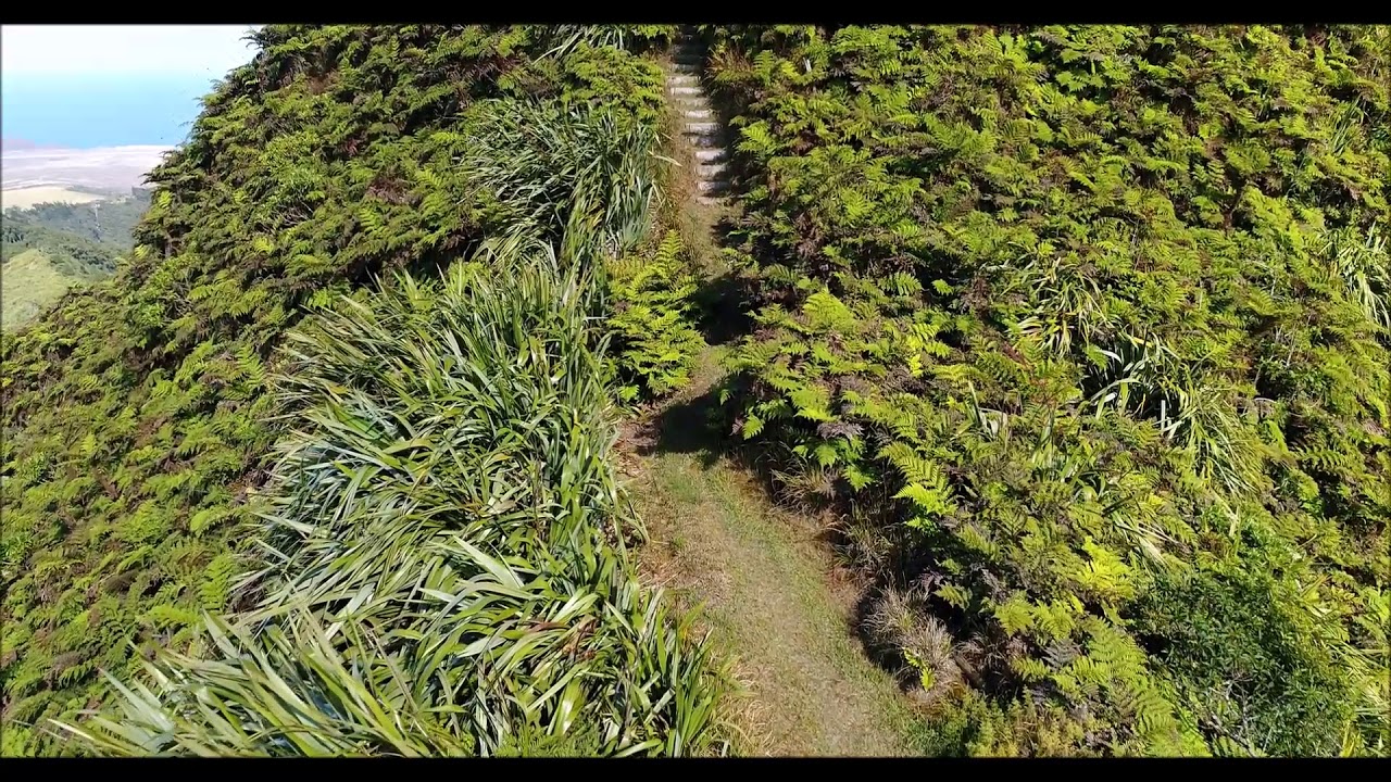 Diana's Peak   St Helena Island