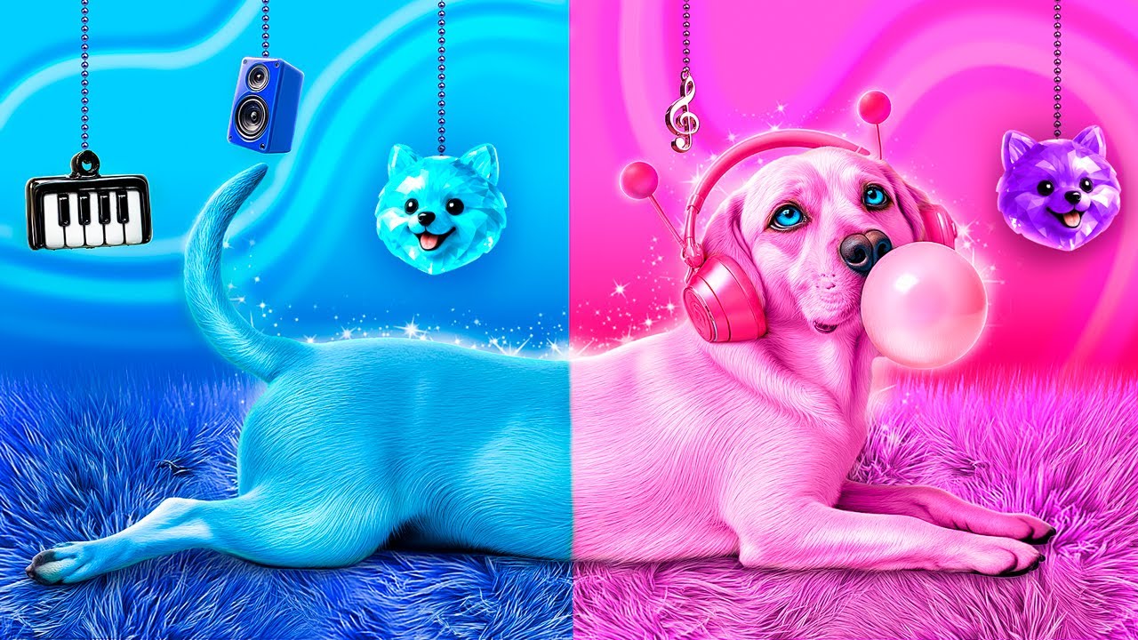 Salvei um Cachorro de Rua! Construímos uma Sala Secreta para Pets! Azul vs Rosa