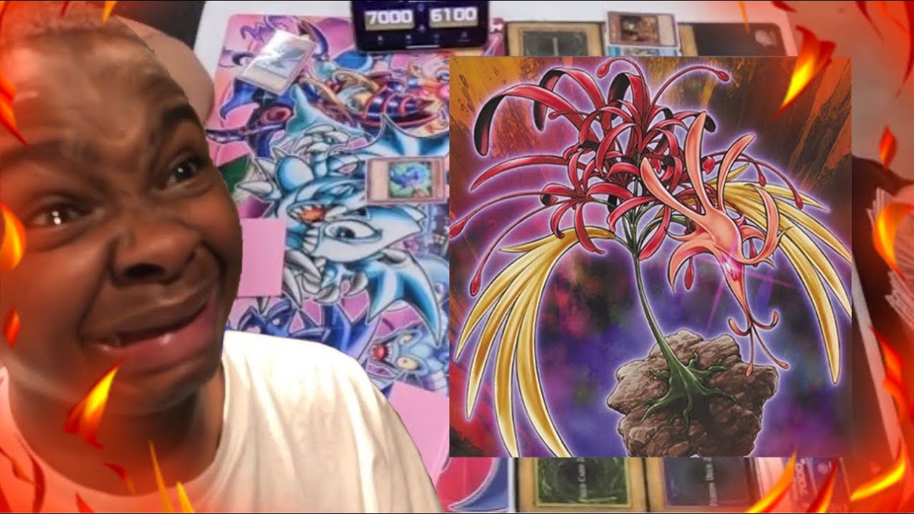 Amaryllis burn deck is interesting #edisonformat #yugioh #yugiohtournament