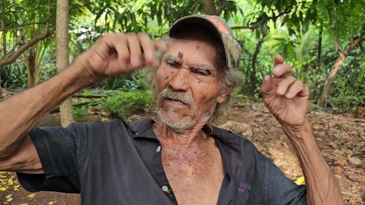 Conocías o habías escuchado de la culebra Mecazala .