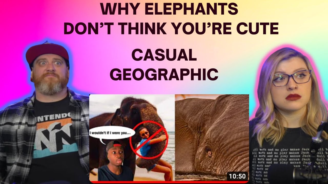 Why Elephants DON’T Think You’re Cute @mndiaye_97 | HatGuy & @gnarlynikki React