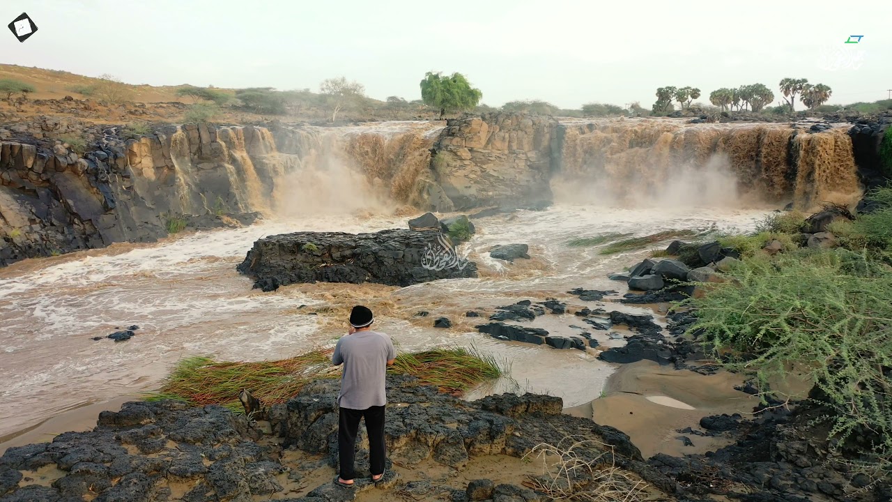 سيل وادي الضرس وشلال الكفيرة شرق #سعيدة_الصوالحة #عسير (الأحد ٢٩ جماد أول ١٤٤٣الموافق ٠٢ يناير ٢٠٢٢)