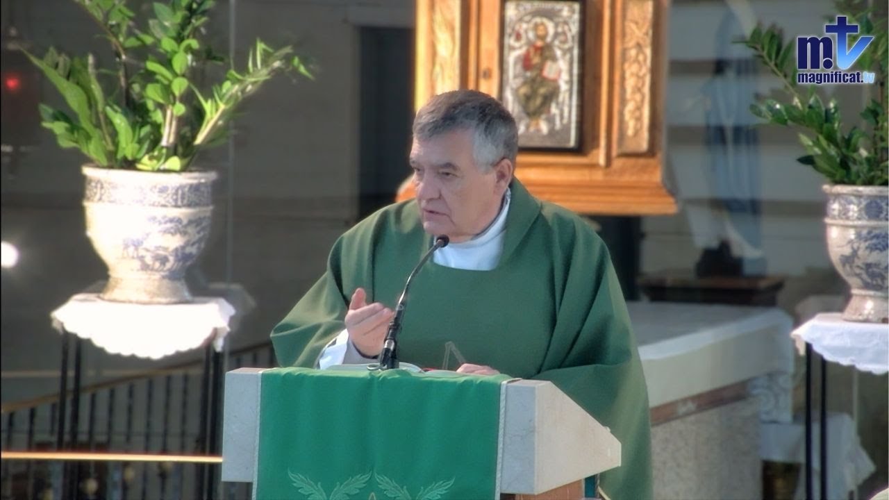 “Sé tú la casa de Jesús” | Homilía, Viernes I Semana del T.O. (16-01-2026) | P. Santiago Martín, FM