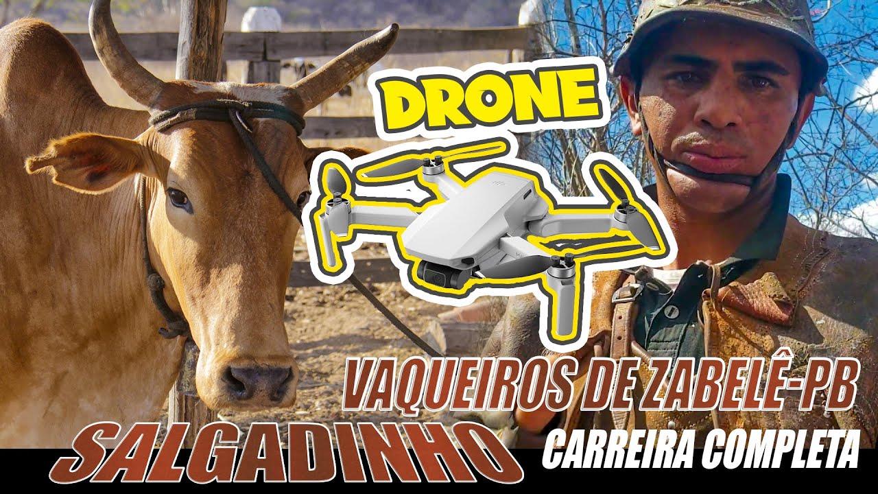 Boi Salgadinho ❌ Vaqueiros da Paraíba - Carreira completa com o Drone - 1600 metros em linha reta
