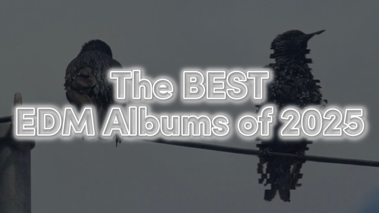 The Best EDM Albums of 2025