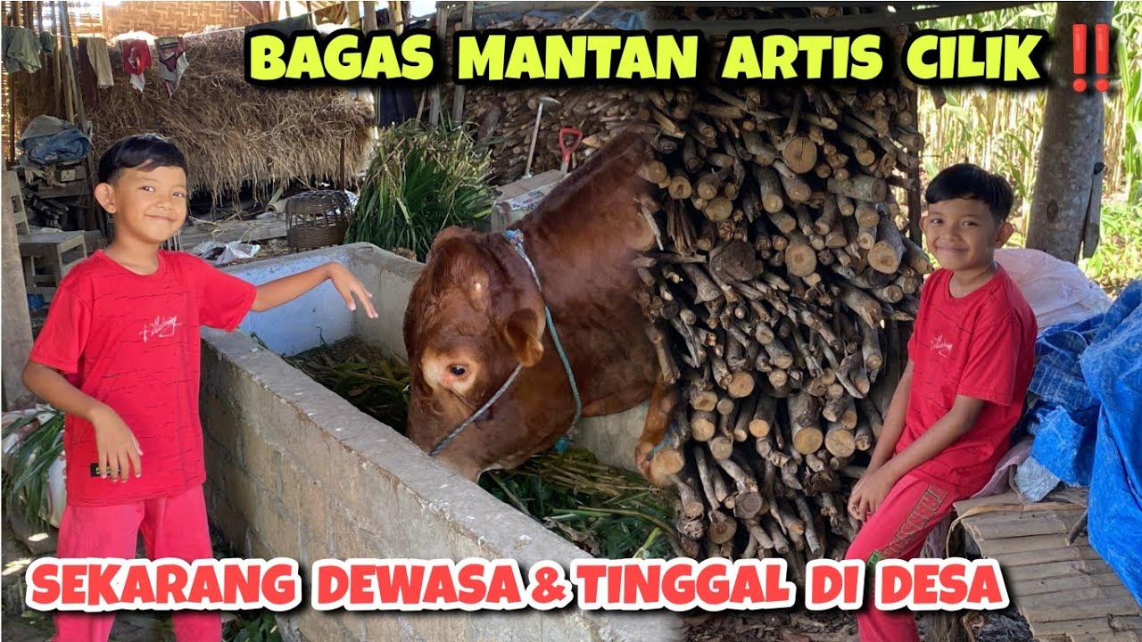 Bagas mantan artis cilik tinggal di kampung ‼️ Dulu lucu & pintar