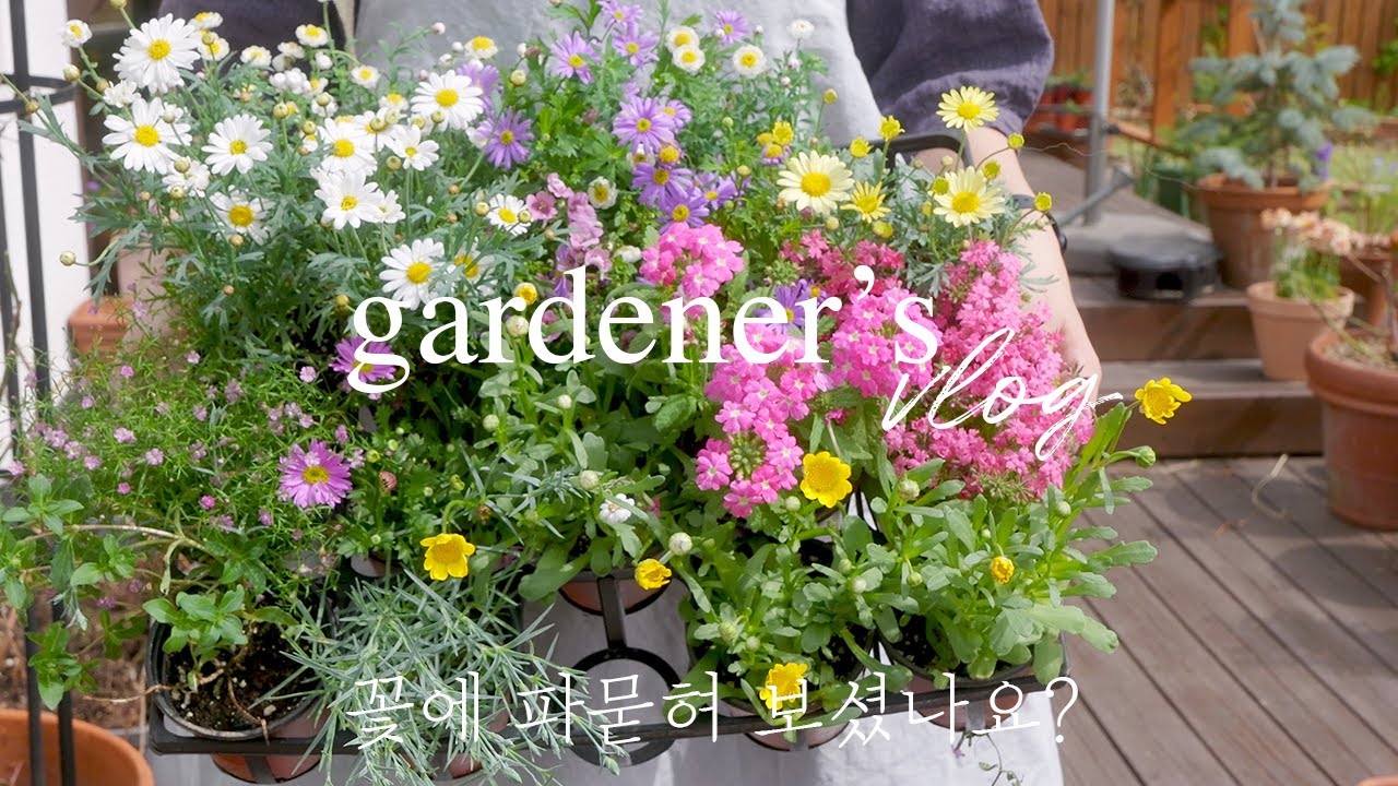 Что я делаю, чтобы приветствовать 