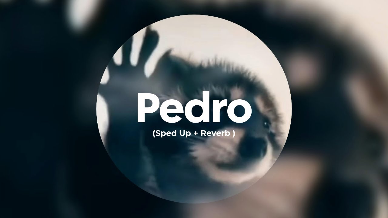 Jaxomy x Agatino Romero x Raffaella Carrà – Pedro (sped up+reverb)