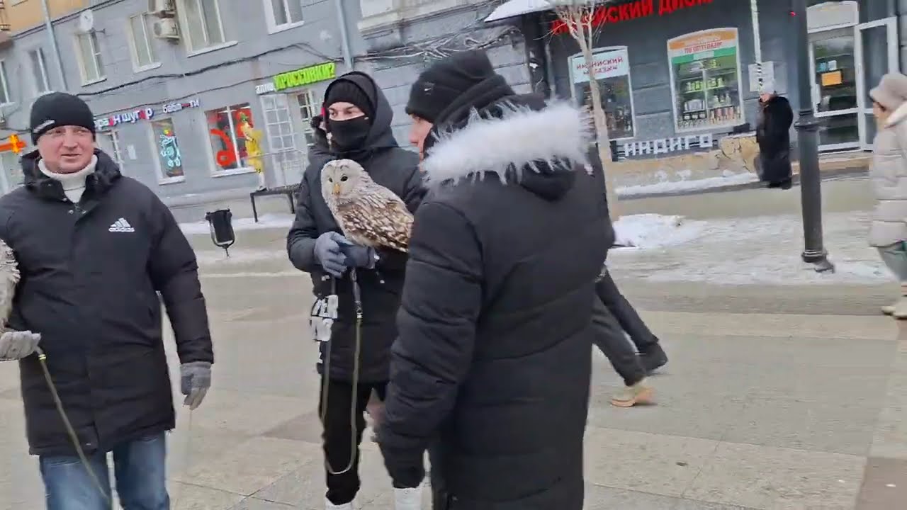 Гитариста нет в Саратове