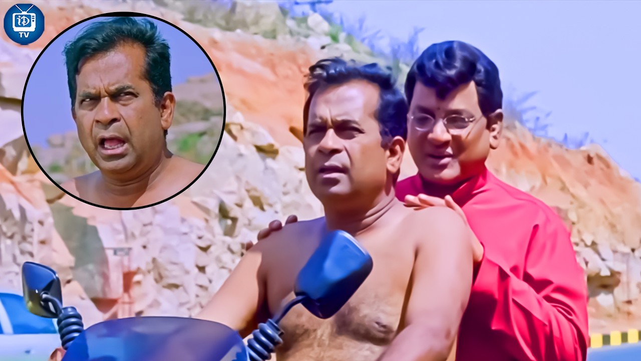 Brahmanandam Avs Comedy Scens | Brahmi Comedy Scene | Avs comedy Scene | iDream TV