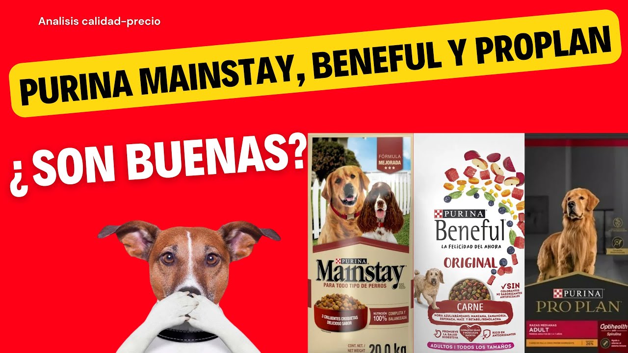 Analisis de Croquetas: Purina Mainstay, Beneful y Proplan