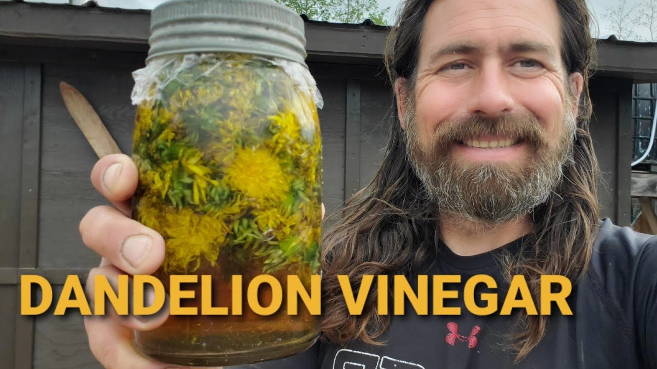 ОДУВАНЧИКОВЫЙ УКСУС — ЕГО ПРИГОТОВЛЕНИЕ И УДИВИТЕЛЬНАЯ ПОЛЬЗА ДЛЯ ЗДОРОВЬЯ.