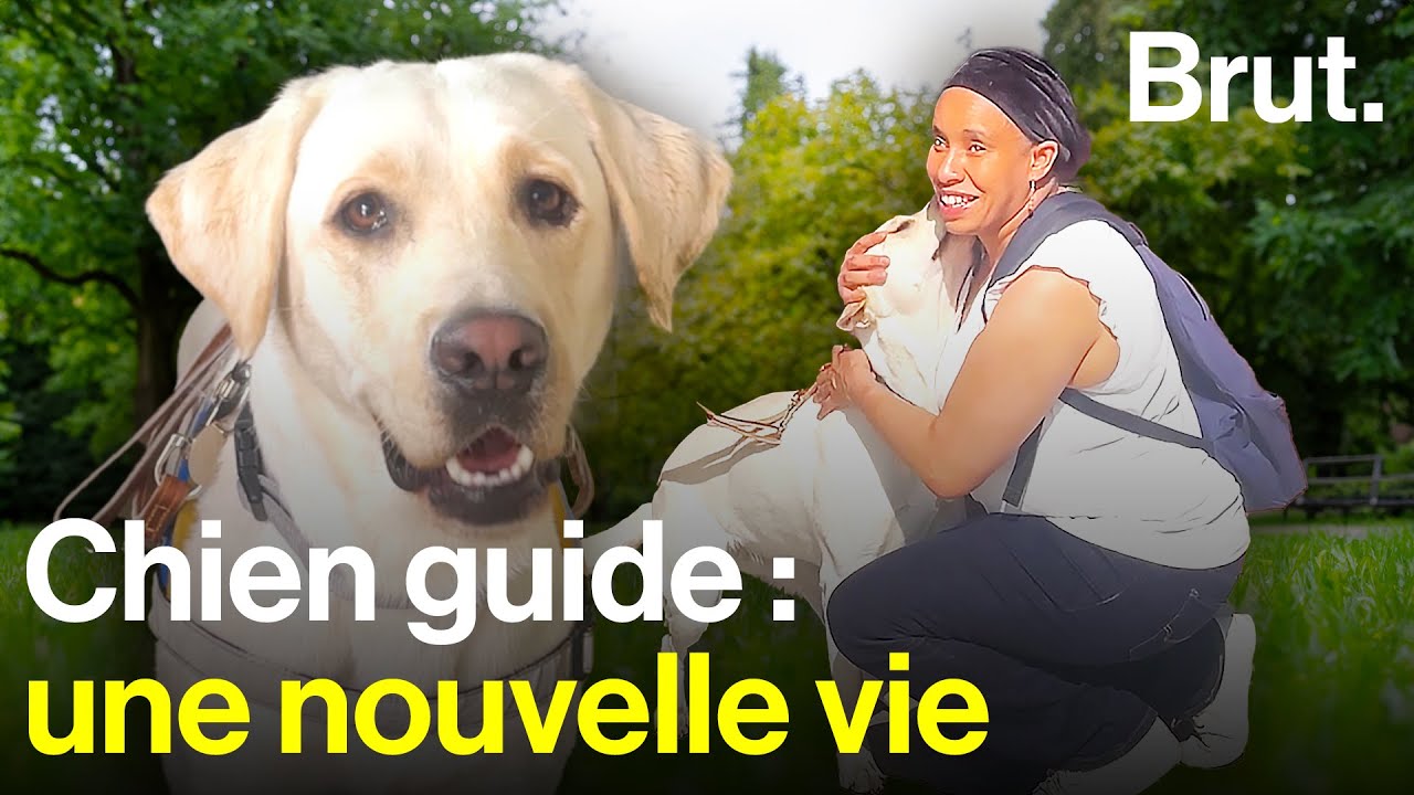 Elle rencontre son tout nouveau chien guide