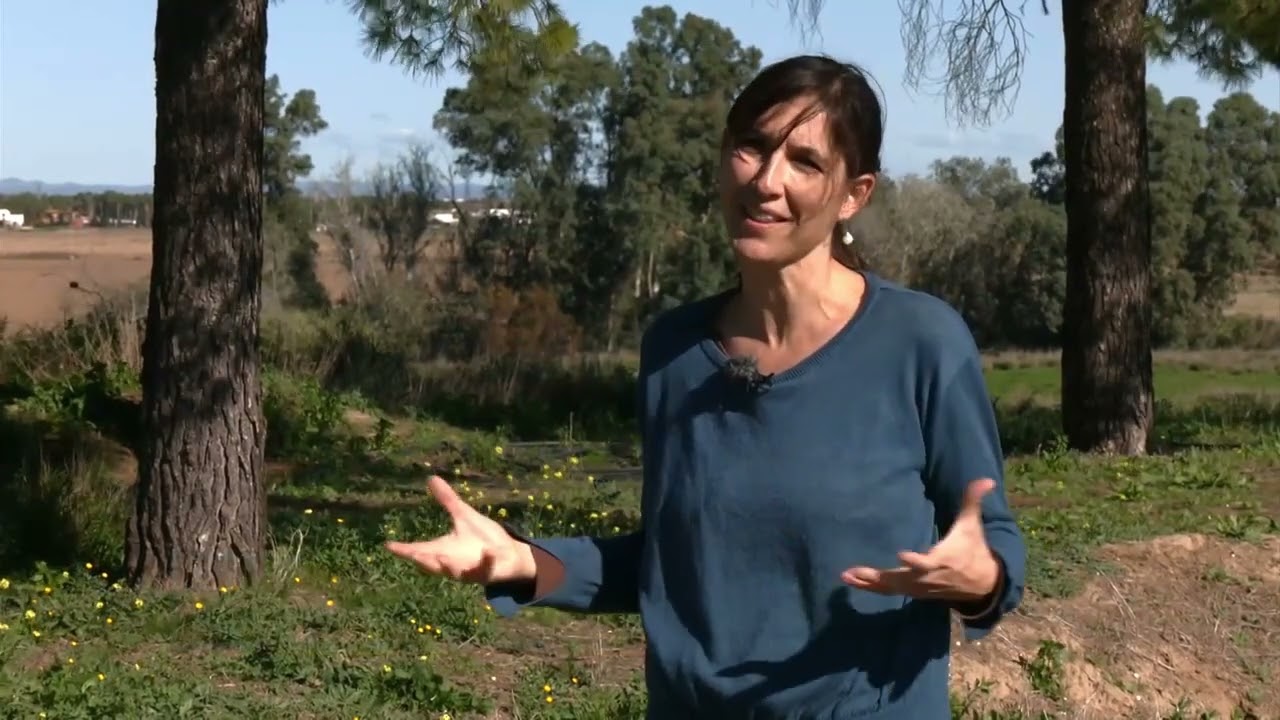 Conocemos el anillo verde de Sevilla que reivindica los espacios naturales que rodean la ciudad