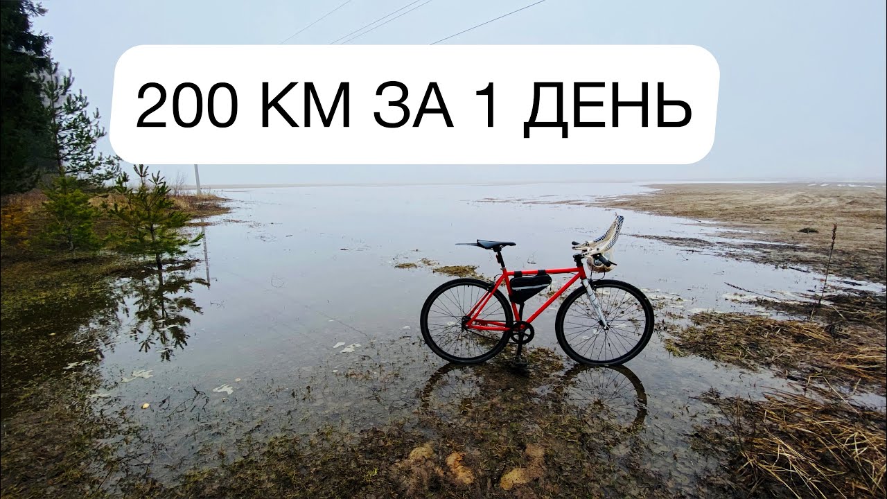 200 КМ НА СИНГЛСПИДЕ. Ярославль - Кострома - Ярославль. Велотрип.