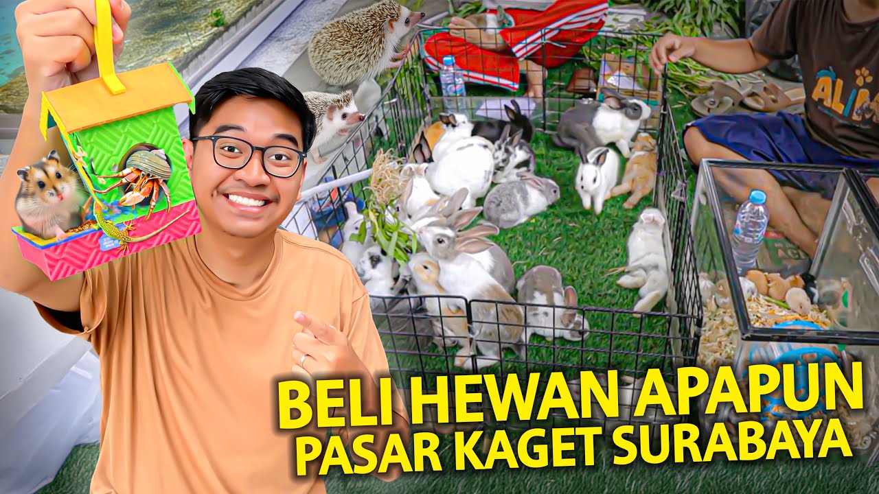 BELI HEWAN APAPUN YANG BISA DITEMUIN DI PASAR KAGET CAR FREE DAY SURABAYA! RAME BANGET DISINI!