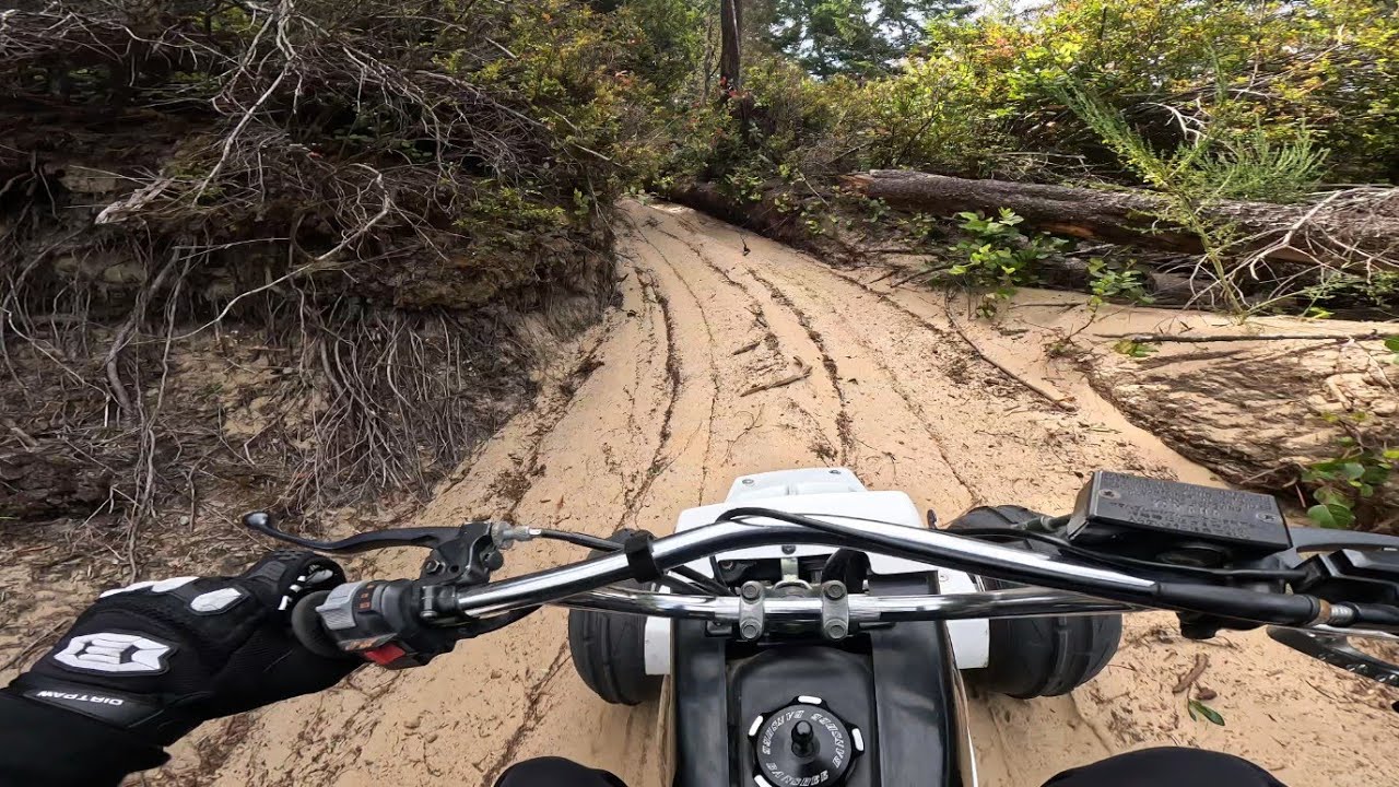 Banshee 350 HILL CLIMBS & RAIN POV @WinchesterBay