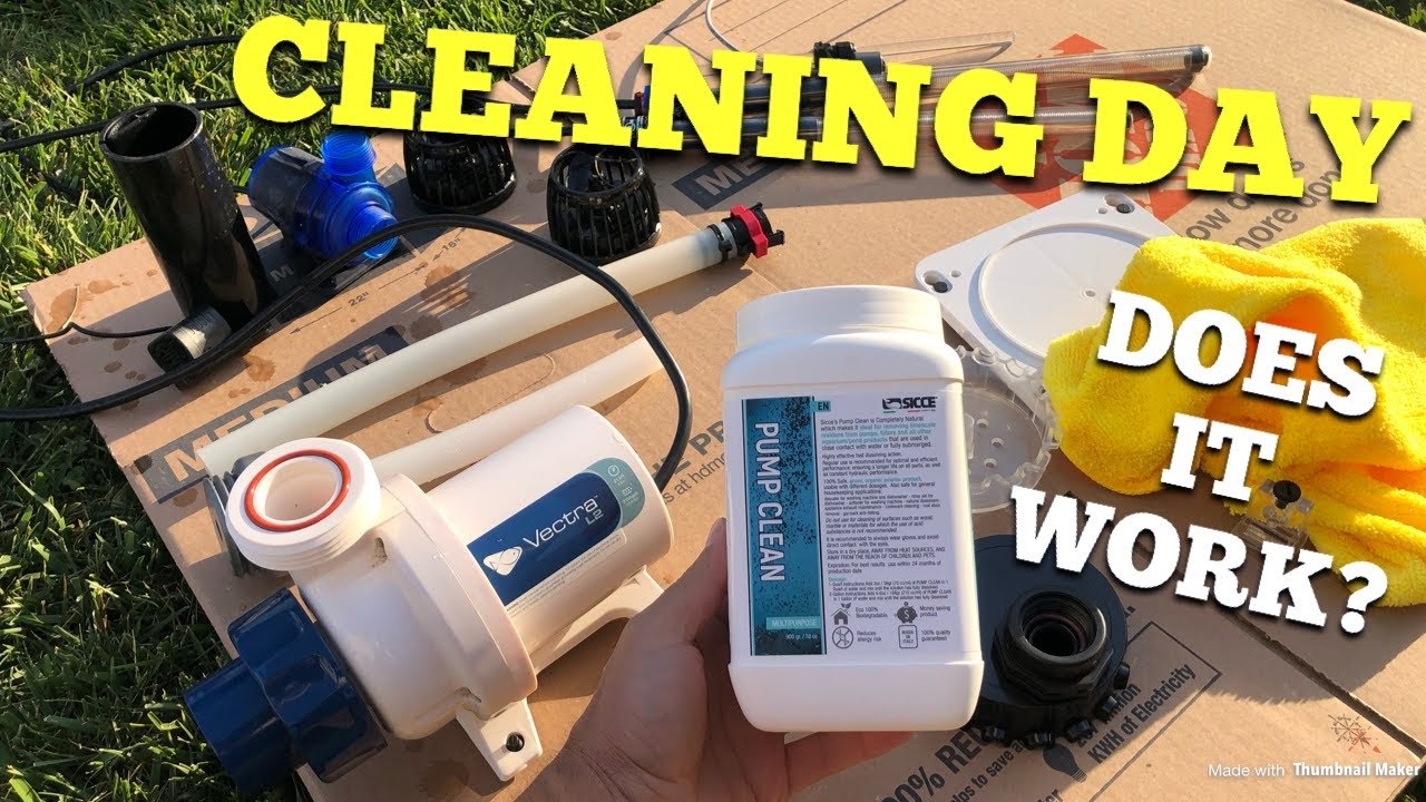 6 month cleaning